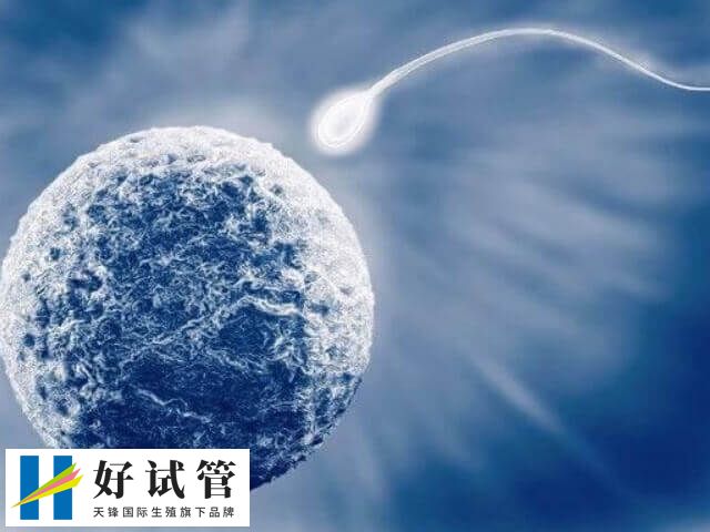 导致男性不孕不育的原因