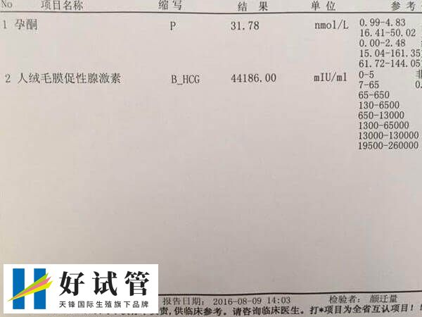 胚胎着床后HCG大于5U/L